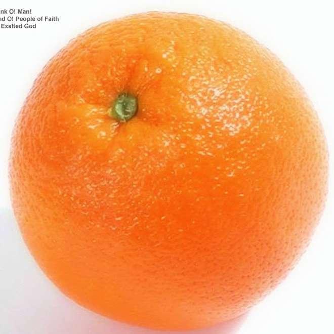 Medindo o que realmente importa Será que custa pouco medir o peso de laranjas de seus fornecedores?