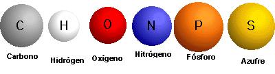 4. Composição Química dos Seres Vivos Os seis elementos químicos básicos que compõem todo e qualquer ser vivo: 4. Composição Química dos Seres Vivos 4.