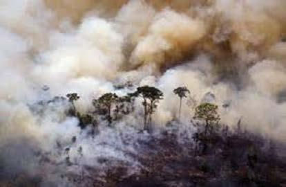 Não há mais motivos que justifique a destruição O desmatamento faz mal à saúde e ao clima.