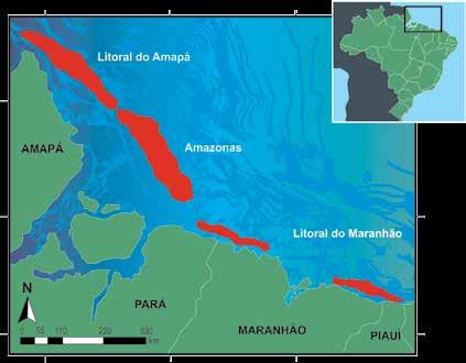 156 O Uso da Biodiversidade Aquática do no Brasil: uma avaliação com foco na pesca A área total da pesca industrial tem sido dividida em três subáreas principais de características distintas (Figura