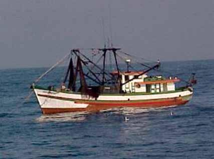 Capítulo 2 O Uso da Biodiversidade Aquática no Brasil com foco na pesca 199 sentada por grande número de pequenas embarcações do tipo canoas e botes (não encontramos uma estimativa do total de barcos