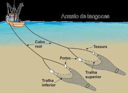 86 O Uso da Biodiversidade Aquática do no Brasil: uma avaliação com foco na pesca Quanto ao meio em que ocorre o arrasto, as redes podem ser classificadas como de meia-água, para a captura de animais