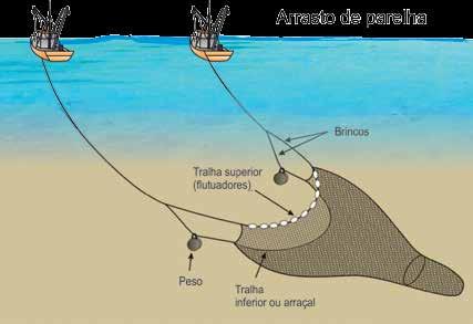 No Brasil, o método de pesca é empregado na captura dos peixes demersais do Sudeste e do Sul como corvina, castanha, pescada-olhuda, pescadinha-real, linguado, abrótea etc.