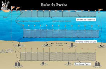 Capítulo 2 O Uso da Biodiversidade Aquática no Brasil com foco na pesca 97 abertas (pano esticado) ou fechadas (pano frouxo), influenciando, respectivamente, no maior ou menor poder de seletividade