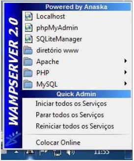 Instalando um Servidor Web Local Algumas aplicações que faremos em nossa apostila precisarão de um servidor WEB. Vamos instalar o WAMP SERVER. Para baixálo, acesse: http://www.baixaki.com.