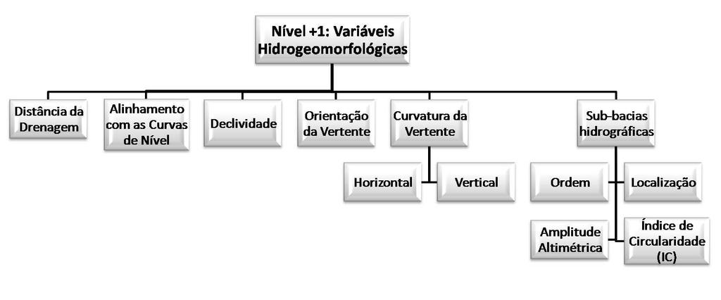 Figura 3: Fluxograma das Variáveis Hidrogeomorfológicas, Nível +1. Fonte: Kroeff, 2010.