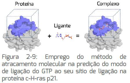 Atracamento molecular(molecular Docking) Atracamento Molecular Técnica computacional dedicada à previsão do modo de ligação e