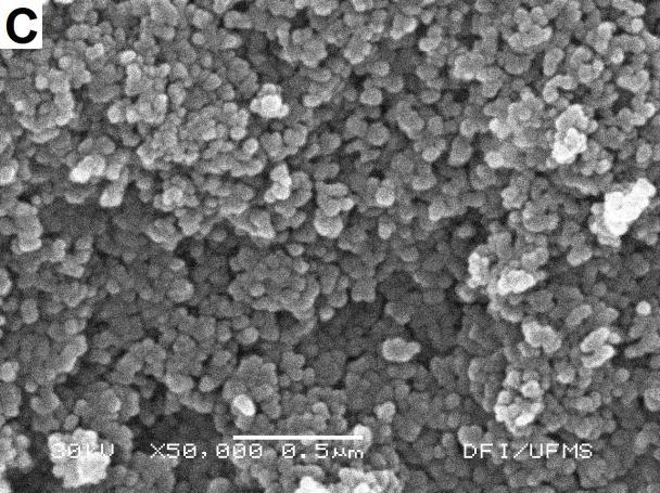 nanopartículas de TiO 2 e