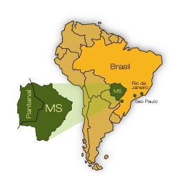 Localização Mato Grosso