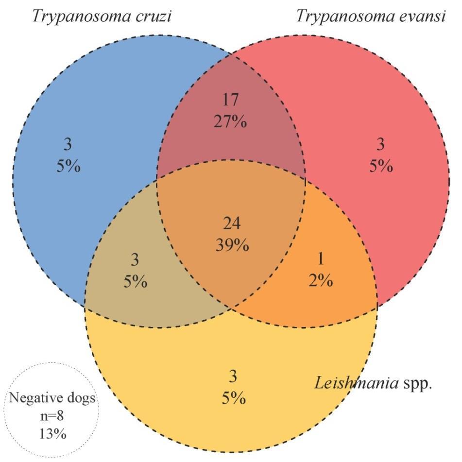 evansi by domestic dogs and wild mammals in a rural