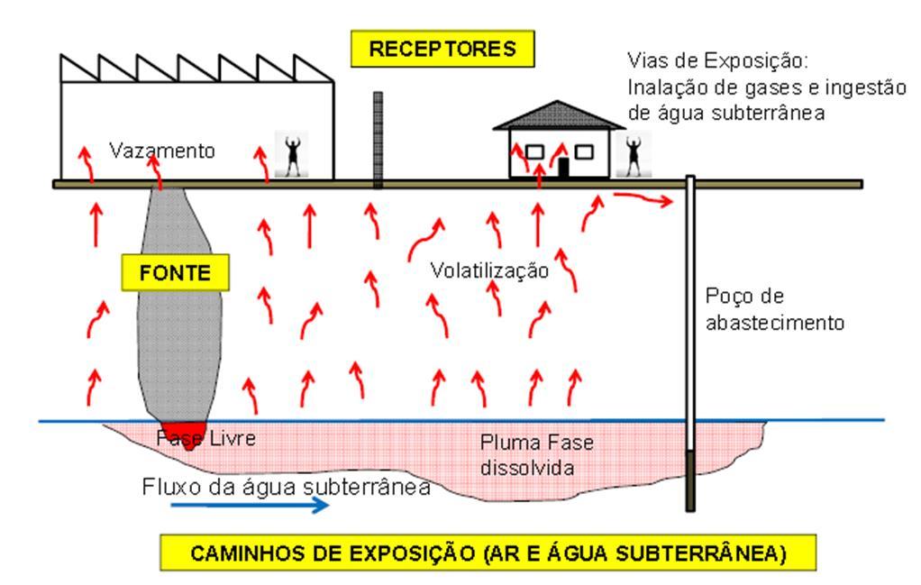 O Contaminante no solo Modelo conceitual de contaminação