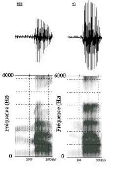 103 Figura 34 Espectrogramas de [m] e [n] pronunciados diante da vogal [a] na língua francesa. Fonte: Carton (1974 p. 54, DELATTRE, 1966 apud AMELOT, 2004 p. 27).