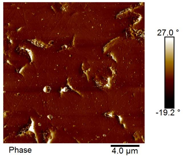 A imagem do itabirito compacto obtida por meio do microscópio óptico que está acoplado ao AFM pode ser observada na Figura 4.