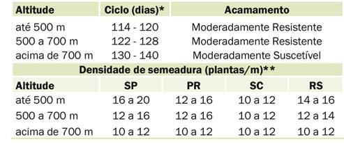 BRS 257 Grupo de Maturidade Relativa 6.