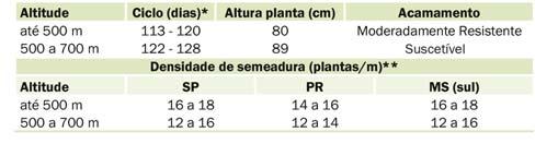 BRS 317 Grupo de Maturidade Relativa 6.