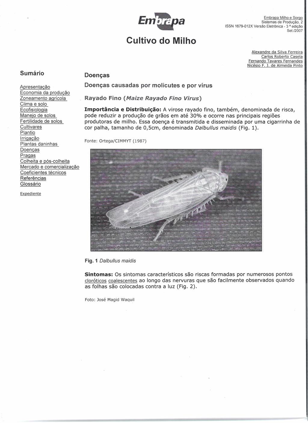 E~ Cultivo do Milho Embrapa Milho e Sorgo Sistemas de Produção, 2 ISSN 1679-012X Versão Eletrônica - 3 a edição Set.