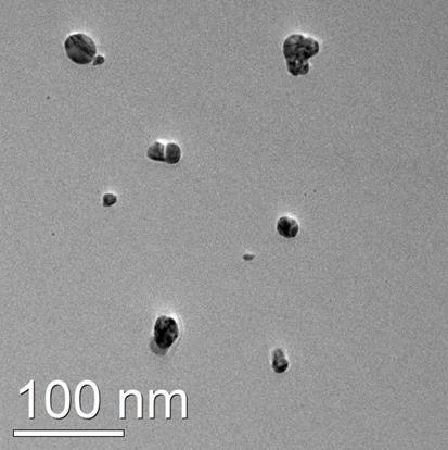 The characterization of AgNP (10-25nm) in ASTM media by TEM analysis showed that the AgNP claimed by the producers to have a mean size of 60 nm showed in water a wider size distribution, ranging from
