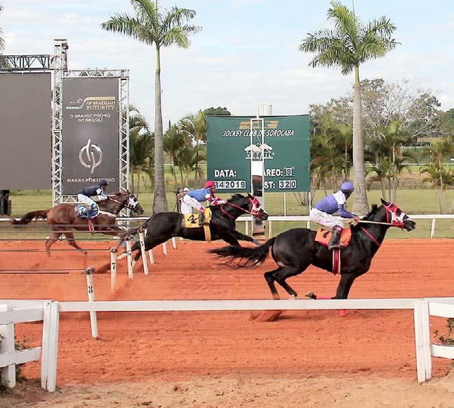 Às 15:25h, no 8º páreo, foi definida última vaga do GP Brazilian Futurity.