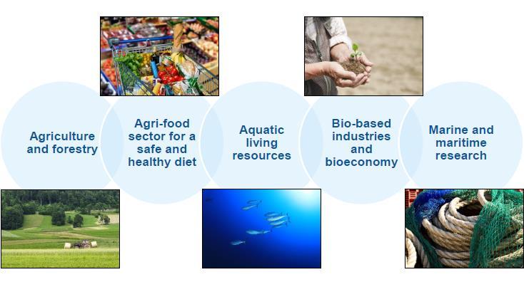 5 grandes atividades no Programa Específico do DS2 Agricultura e silvicultura Sector Agroalimentar Aquicultura e pescas Bioindústrias e bioeconomia Investigação