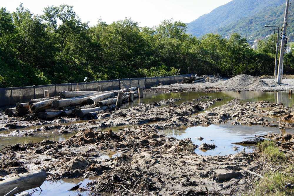 - Nos últimos 50 anos, os Manguezais têm sofrido rápida degradação, principalmente graças à ação humana desordenada e a utilização dessas regiões como aterro obra que consiste na deposição de terra