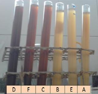 Segundo a ABNT NBR NM 49 (2001) quanto mais similaridade a solução tem com a amostra (em se tratando de coloração), maior é o grau de impureza orgânica. 5.