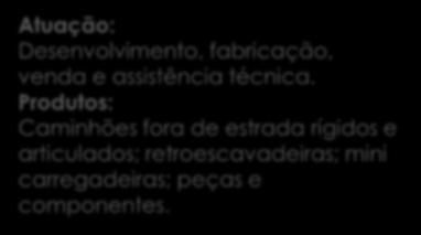 DIVISÃO MONTADORAS VEÍCULOS ESPECIAIS 25 concessionárias no Brasil Atuação: