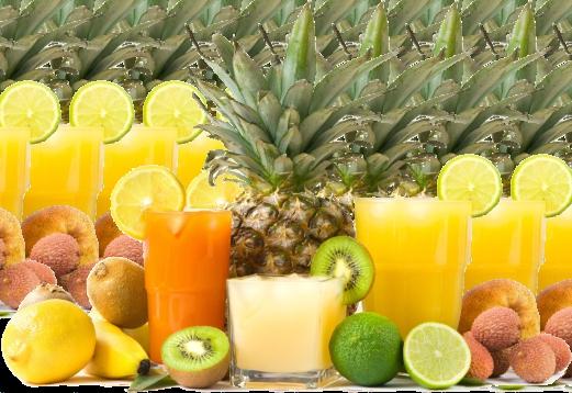 Bebidas SUCOS CALDO DE CANA 437 438 439 440 441 442 443 444 445 446 447 448 449 450 451 452 453 454 455 456 457 458 459 460 461 462 463 464 465 466 467 468 469 470 471 472 ABACAXI ACEROLA CAJÁ CAJU