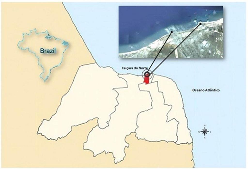 Figura 1. Localização da área de estudo: águas costeiras de Caiçara do Norte, Estado do Rio Grande do Norte (Fonte: Google Maps, 2012).