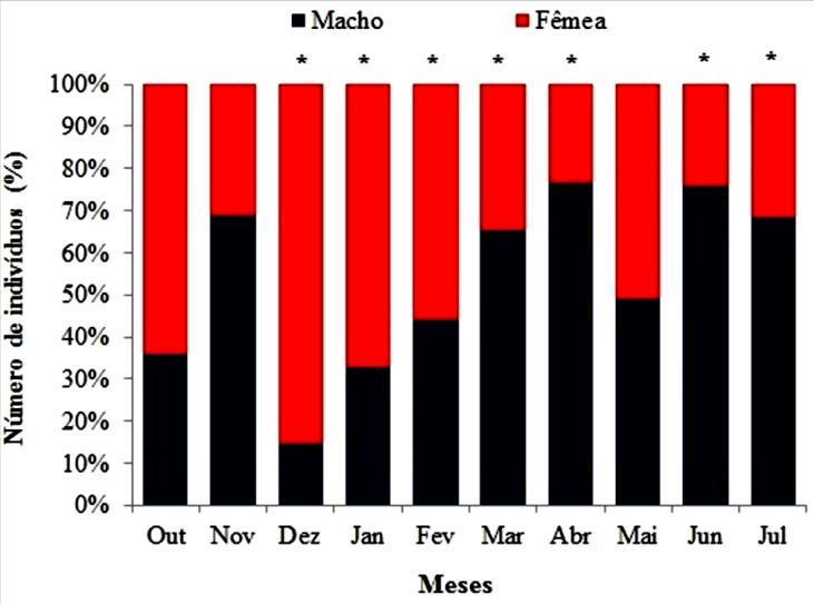 Figura 2. Proporção sexual de H. brasiliensis nas águas costeiras de Caiçara do Norte, RN. * Diferença significativa da proporção sexual observada em relação à esperada 1:1.