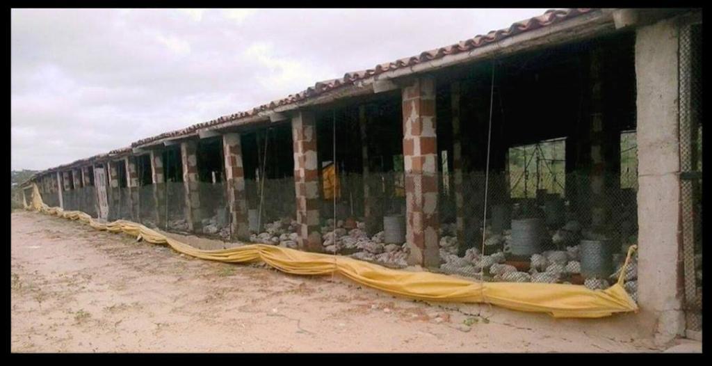 88 para armazenamento de água, caixa d água para abastecimento direto dos aviários, e silos para estocagem de ração.