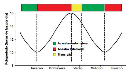 apresentam baixos índices de ganho de peso, altas taxas de mortalidade e baixa eficiência reprodutiva (MOREIRA et al., 2008).