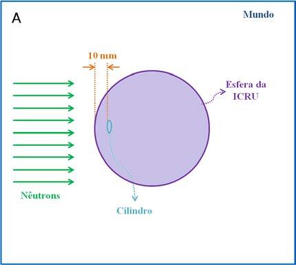 R. M. Ribeiro, et. al. Braz. J. Rad. Sci.