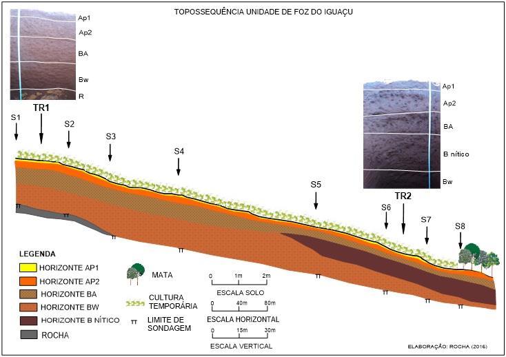 67 A vertente característica da unidade de Foz do Iguaçu é caracterizada por morfologia típica convexa-retilínea, com 720 metros de comprimento e um desnível de 60 metros do topo ao sopé da vertente.