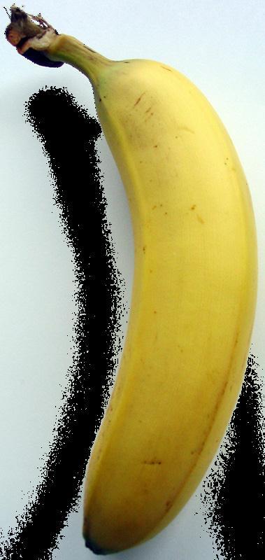 Bananas e