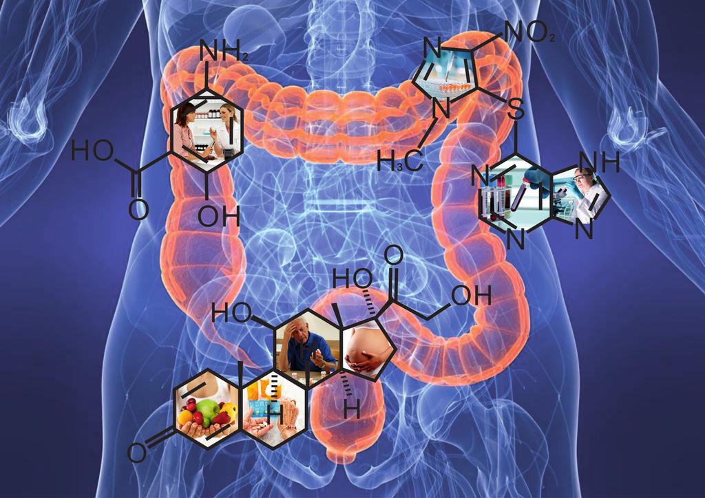 Joana Jéssica Baptista Quintal Doença Inflamatória Intestinal: Cuidados Farmacêuticos Monografia realizada no âmbito da unidade de Estágio Curricular do Mestrado