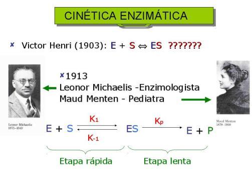34 36 35 Constante de Michaelis-Menten Km indica a afinidade da enzima