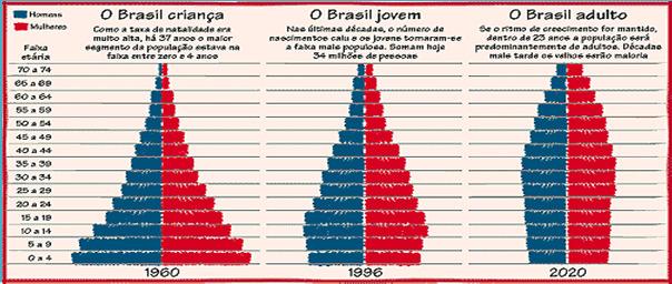 Transição Demográfica Transição Epidemiológica Ranking de casos novos