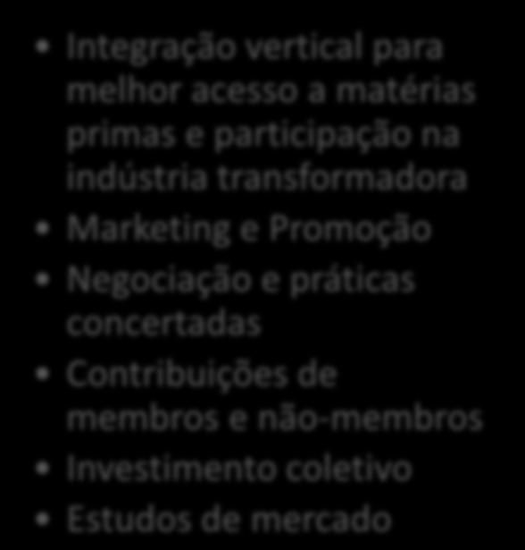 mercado Prazos e condições de pagamento Sanções Iniciativas Integração vertical para melhor acesso a matérias