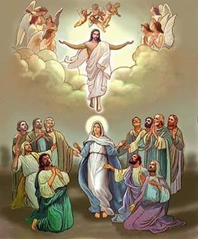 DOMINGO DA ASCENSÃO DO SENHOR ANO A 28 de Maio de 2017 Evangelho de Nosso Senhor Jesus Cristo segundo São Mateus (Mt 28, 16-20) 16 Naquele tempo os onze discípulos partiram para a Galileia, para o