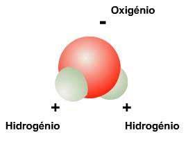 d) Manter a temperatura corporal. e) Aumentar o metabolismo celular 3. Fonte: blogdoenem.com.