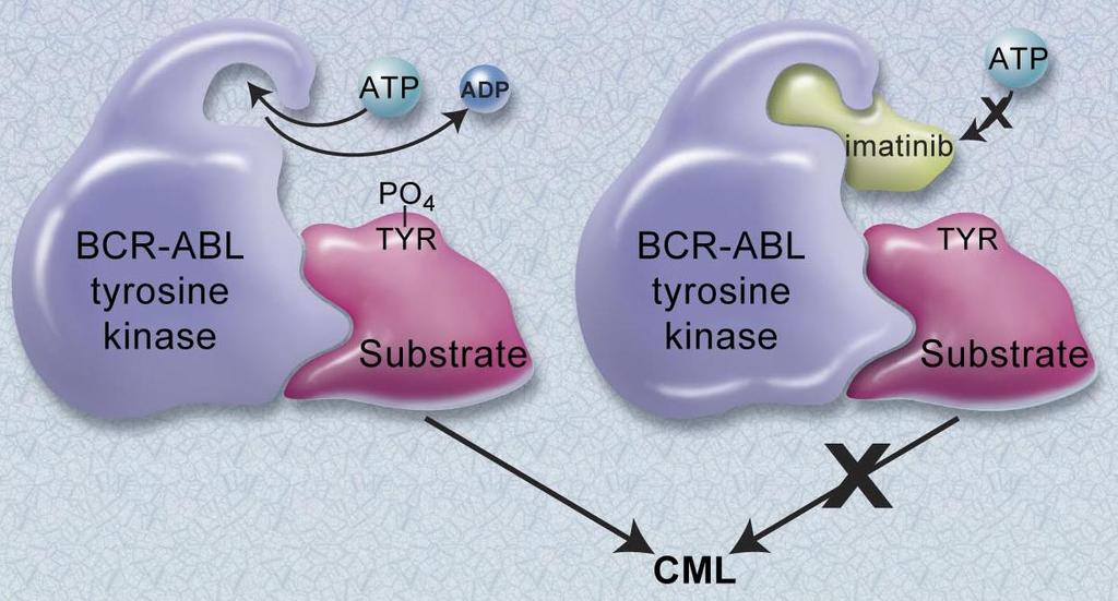 Tirosina Cinase Substrato Tirosina Cinase Substrato LMC Figura 18. Mecanismo de acção do Imatinib.