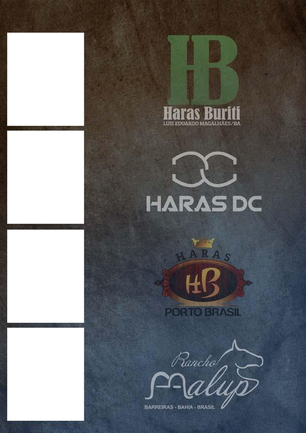 HARAS BURITI Sr.