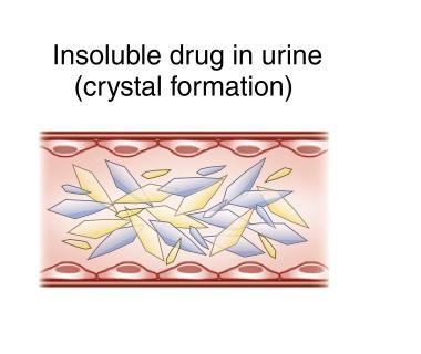 Nefrotoxicidade da ART TDF Tubulopatia proximal renal / S. Fanconi Nefrite intersticial DRC Doença óssea In.