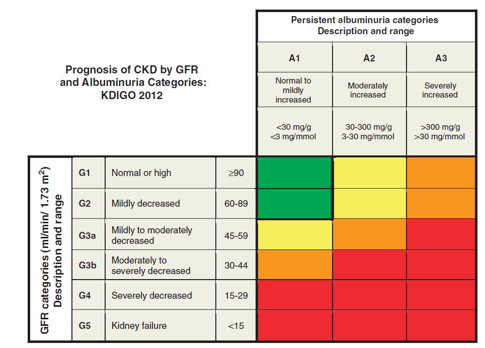 Classificação actual da Doença Renal Crónica KDIGO Clinical Practice Guideline for the Evaluation and