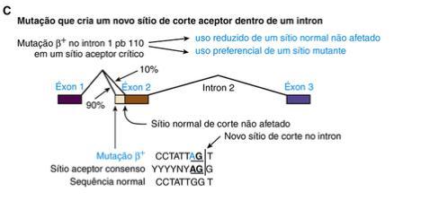 Mutações que afetam o splicing normal do