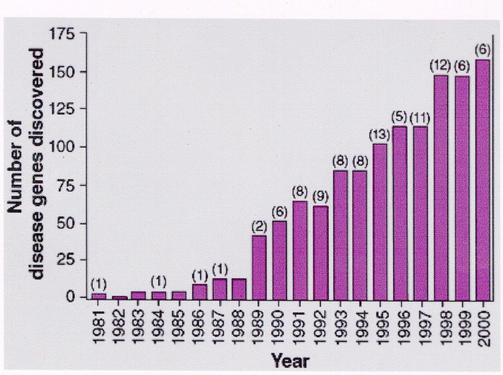 Evolução da descoberta da origem