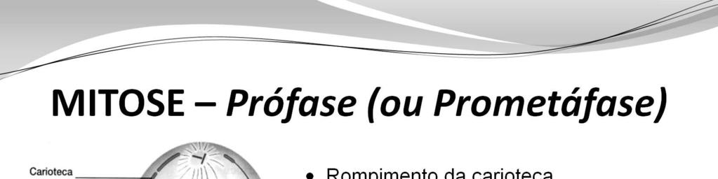 Com o rompimento da carioteca, não há mais limites físicos