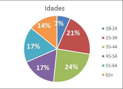 Dados de perfil dos visitantes para cada área do site RTP Fonte: Google Analytics Site