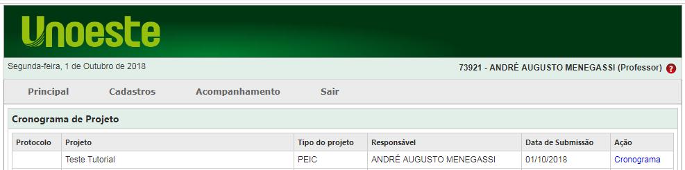 12) Após a submissão do projeto, você será redirecionado automaticamente para a tela de acesso e preenchimento de cronograma.