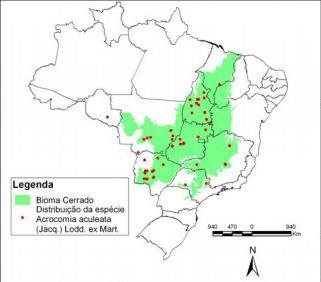 11 Figura 4. Distribuição espacial da Acrocomia aculeata em 53 localidades entre 376 levantamentos realizados no bioma Cerrado. Fonte: Ratter et al., 2003 apud Aquino et al., 2008.